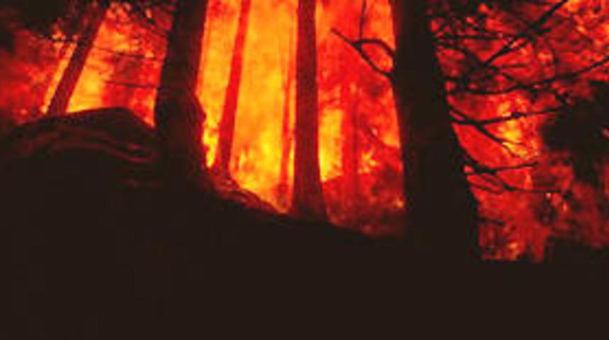 Orhaneli'nde orman yangını