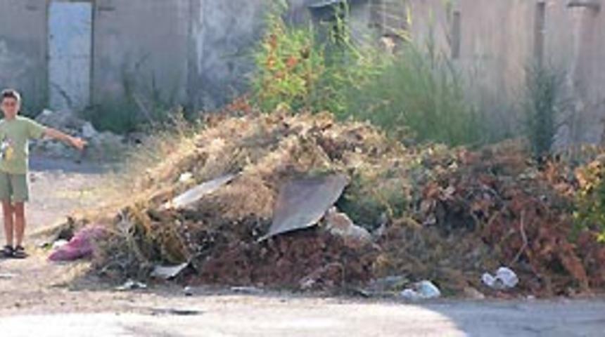 &Ccedil;&ouml;pl&uuml;k gibi sokak