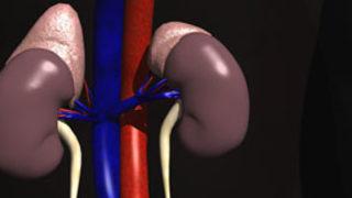 Çocuklarda böbrek hastalıklarının belirtileri