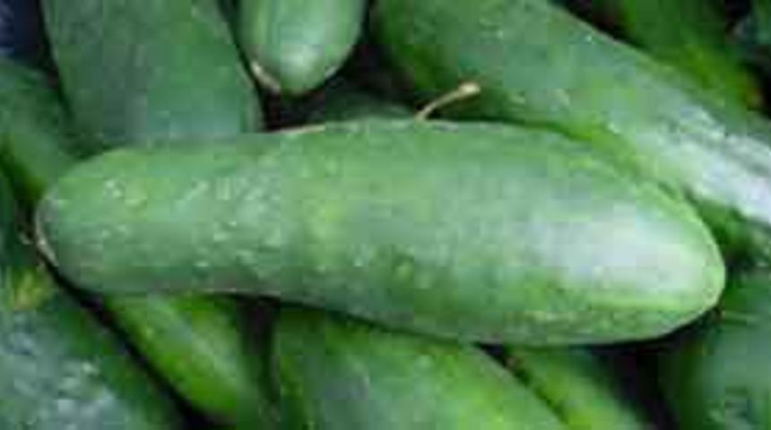 "Sinek" krizine "memorandum" &ouml;nerisi