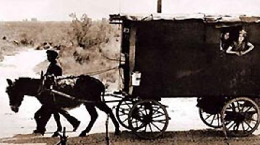 &Ccedil;ingeneler, karayolu kenarını mesken tuttu