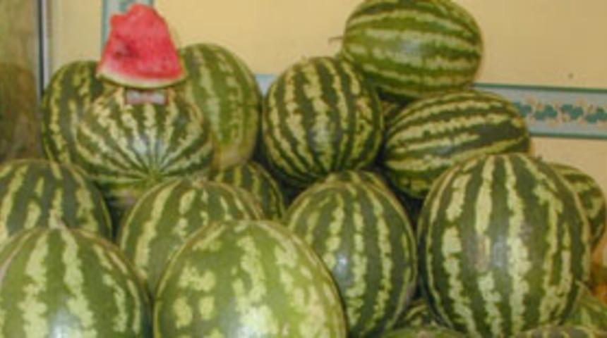 Karpuz, bir bütün olarak yararlı