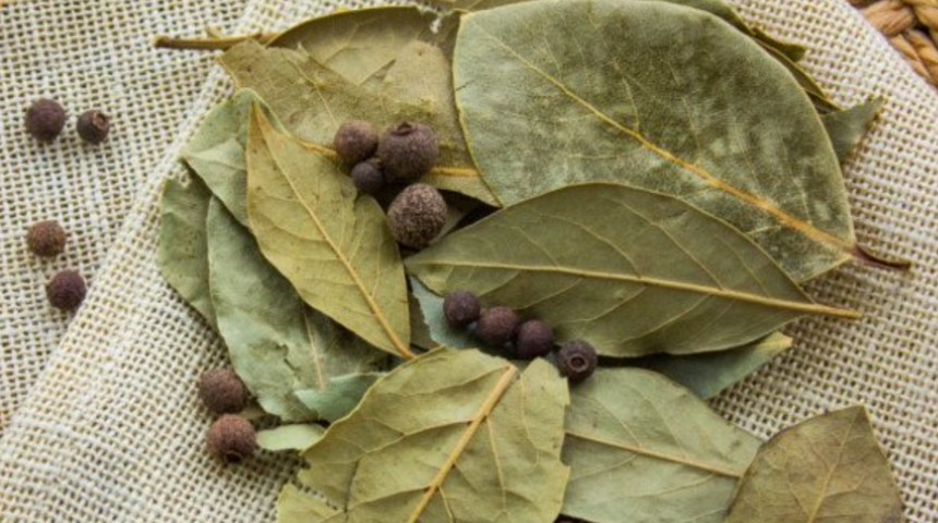 Eklem ve kas ağrılarını dindiriyor! İltihap kurutucu bu çay tam bir şifa deposu