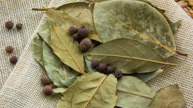 Eklem ve kas ağrılarını dindiriyor! İltihap kurutucu bu çay tam bir şifa deposu