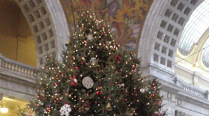 D&uuml;nyanın en b&uuml;y&uuml;k ikinci Noel ağacı Şam'da