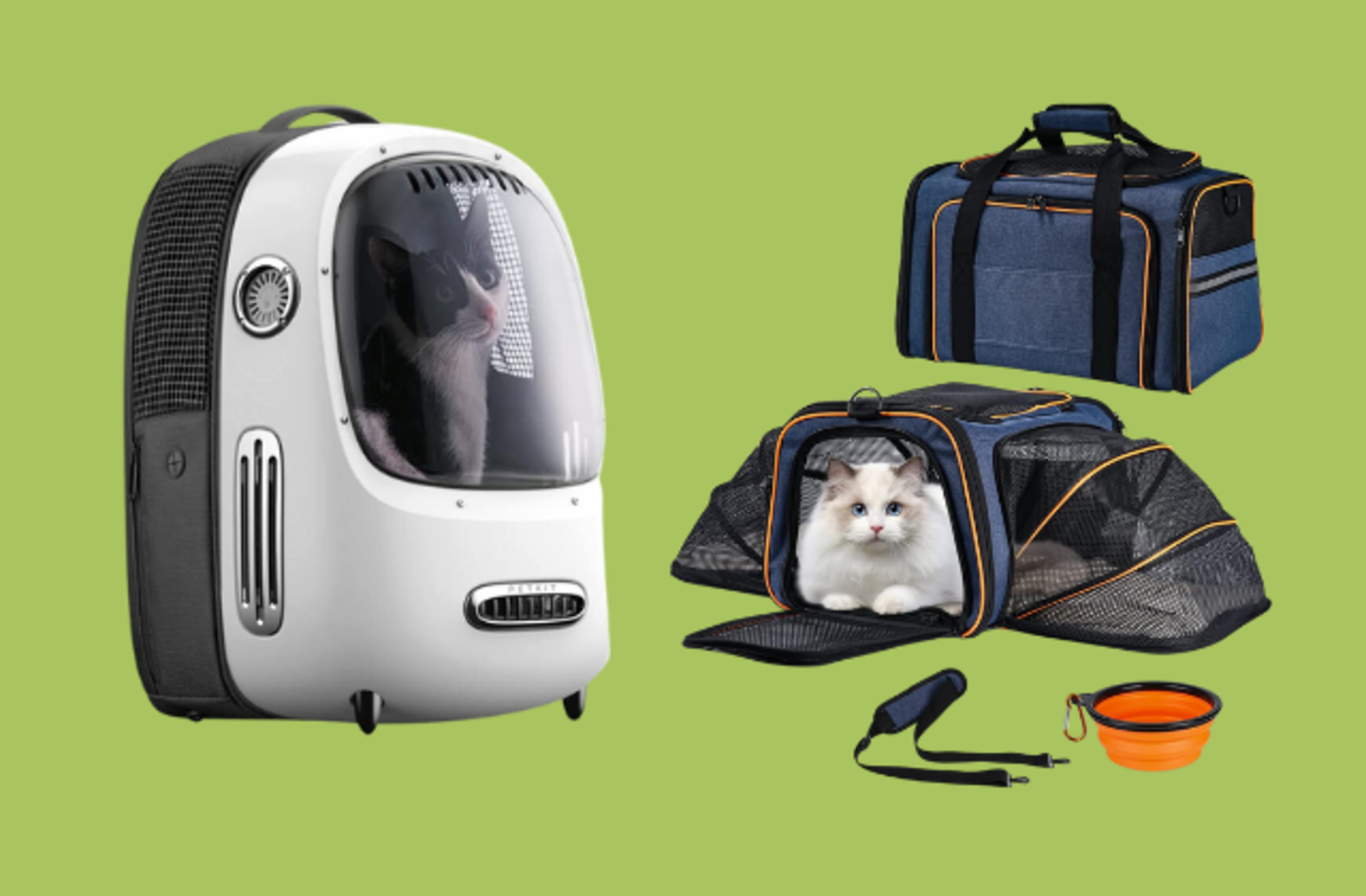 Evcil hayvanını her an yanında taşımak isteyenler için konforlu taşıma çantaları