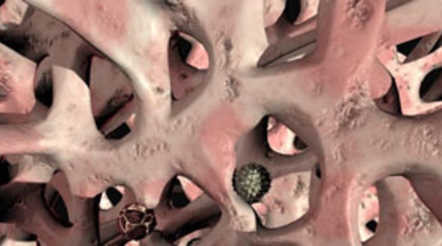 Mikrocerrahi ile organlar onarılıyor