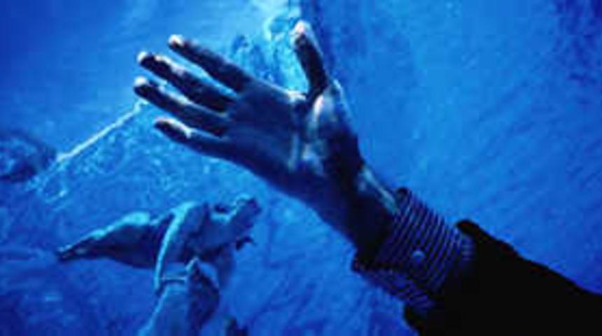 Hayat &ouml;p&uuml;c&uuml;ğ&uuml; hayat kurtarır