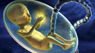 Olgunlaşmamış yumurtadan embriyo