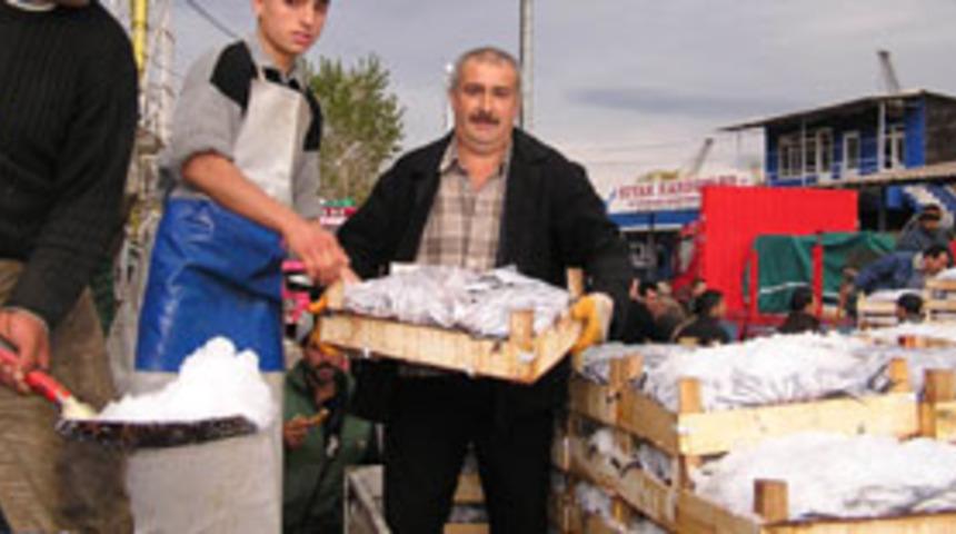 Karadeniz hamsisi karıştı