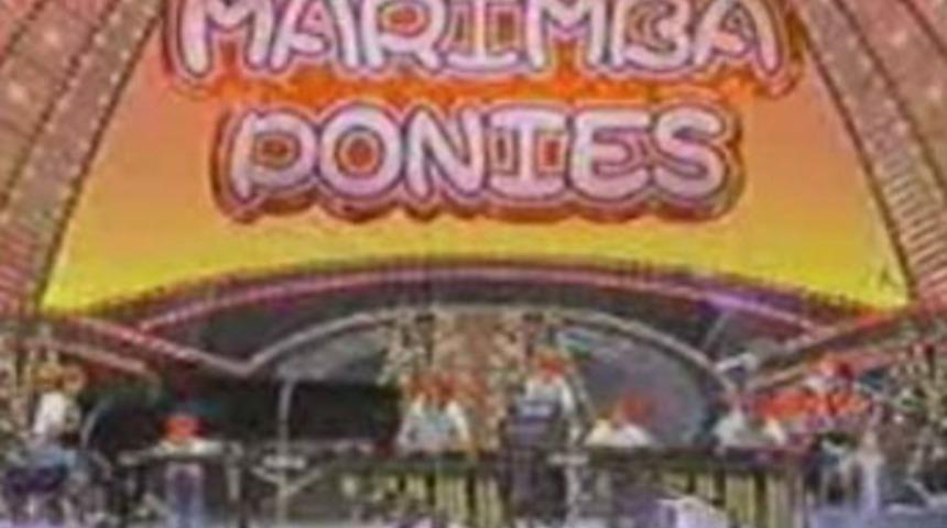 B&ouml;yle orkestra daha &ouml;nce hi&ccedil; g&ouml;rmediniz