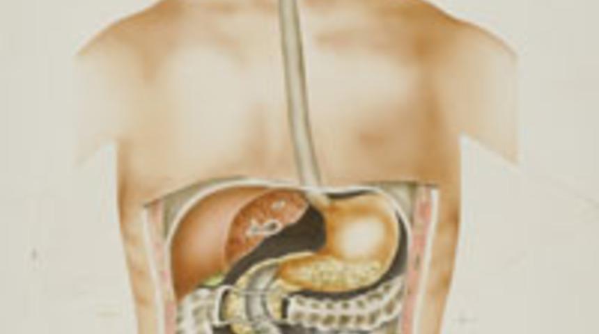 İshal ne zaman öldürücü olur? ishal çeşitleri ve tedavileri