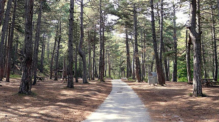 Eskişehir’de ormanlara girişler yasaklandı