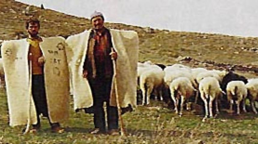 Kazalara davetiye &ccedil;ıkarıyorlar