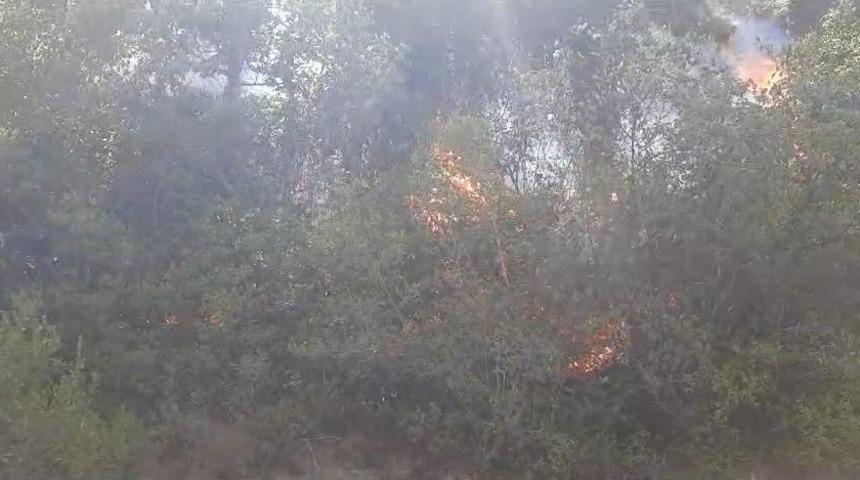 Saat 11.00'de başlayan yangına 8 saat müdahale edildi! Bazı evler boşaltıldı