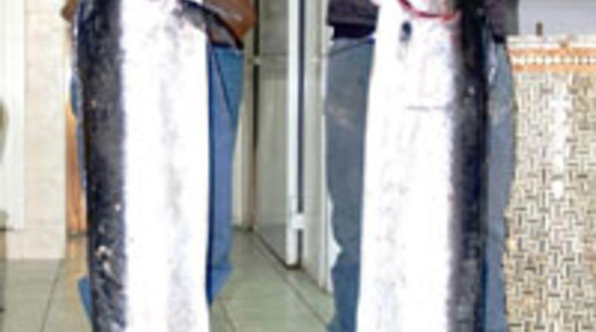 Altınoluk'ta 65 kiloluk ''Dev Zargana''