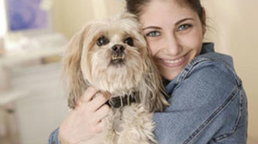 K&ouml;r k&ouml;peklere gen tedavisi