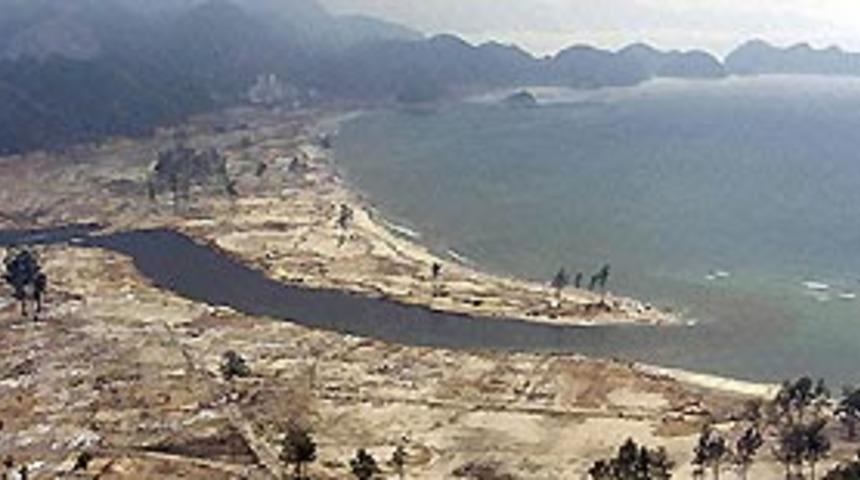 Kuş gribi &ouml;l&uuml;mleri