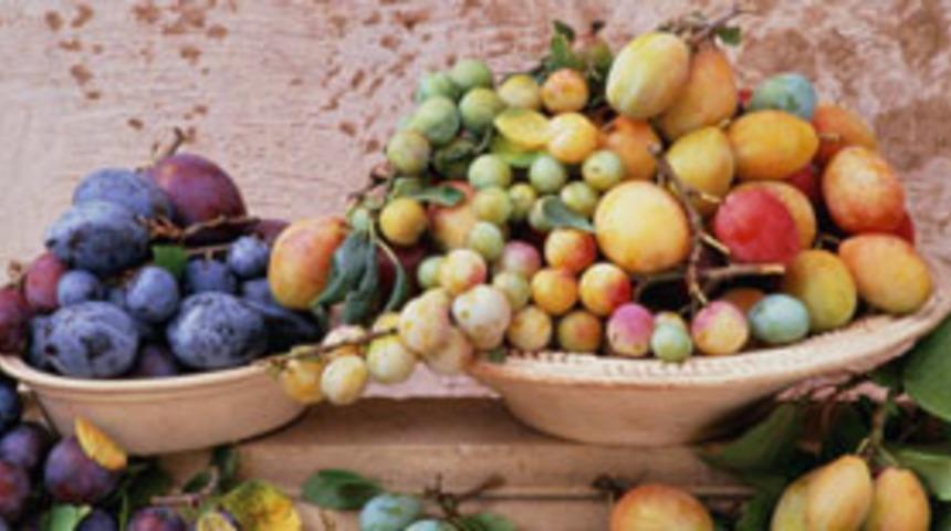 Erik'in faydalarını biliyor musunuz?