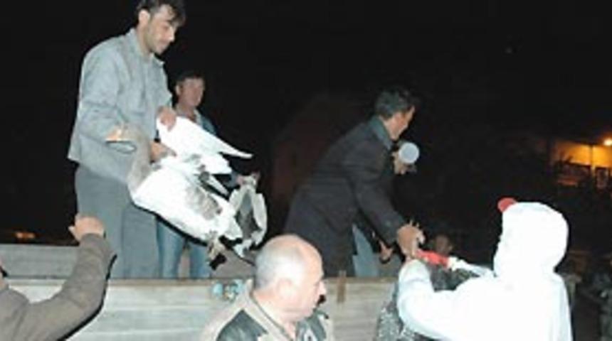 İngiltere'de kuş ithaline yasak g&uuml;ndemde