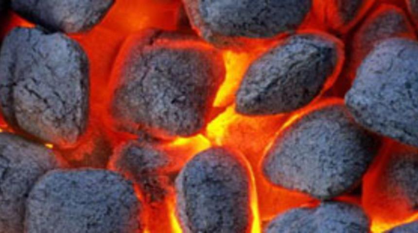 K&ouml;m&uuml;r sahaları &ouml;zelleştiriliyor