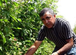 3 yıl önce hobi olarak üretmeye başladı, şimdi taleplere yetişemiyor! "Kilosunu bu sene 80 liradan satmayı düşünüyoruz"