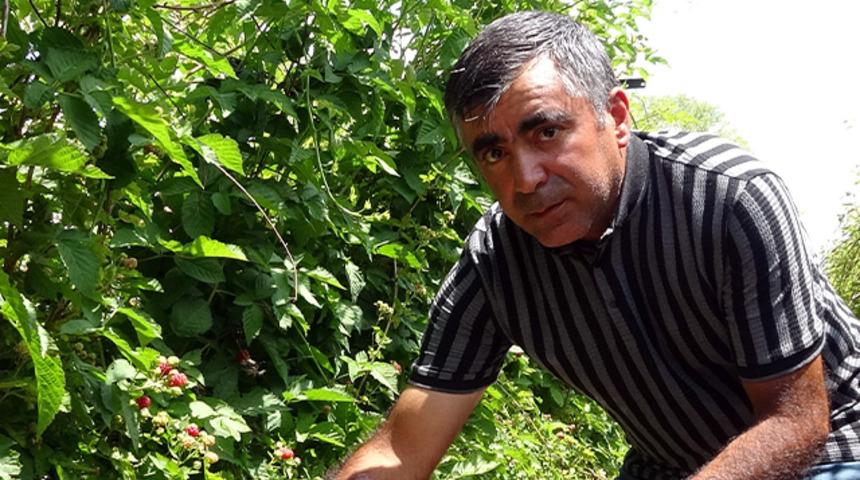 3 yıl önce hobi olarak üretmeye başladı, şimdi taleplere yetişemiyor! "Kilosunu bu sene 80 liradan satmayı düşünüyoruz"