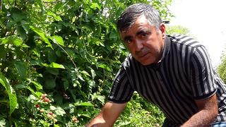 3 yıl önce hobi olarak üretmeye başladı, şimdi taleplere yetişemiyor! Kilosunu bu sene 80 liradan satmayı düşünüyoruz