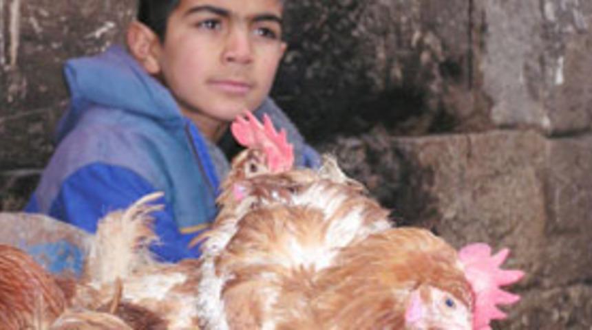 Hızlı kontrol kuş gribinin yayılmasını &ouml;nler