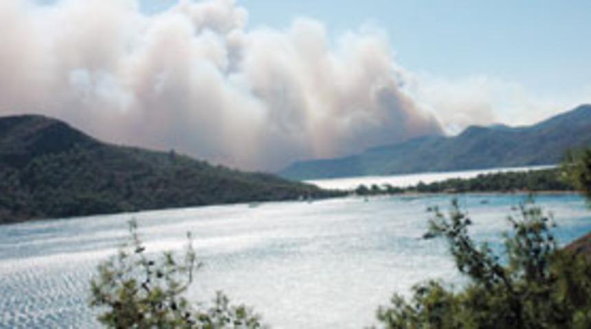 Yangın 100 hektarda etkili