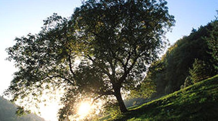 Mevsim normallerinin üzerindeki sıcaklıklar tehlikeli