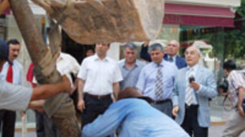 &Ccedil;evre g&uuml;n&uuml;'nde ağa&ccedil;ları s&ouml;kt&uuml;rd&uuml;