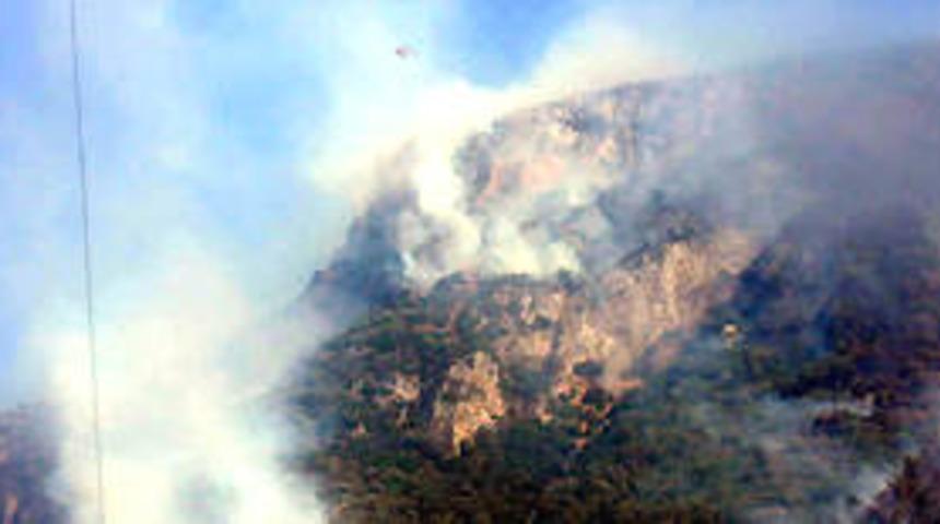 Orman kayıpları azaldı