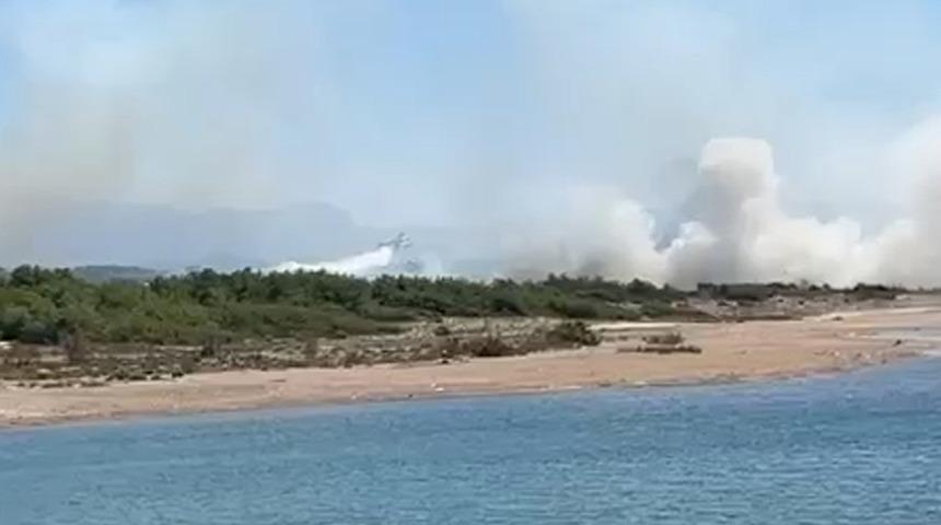 Son dakika... Antalya Manavgat'ta orman yangını