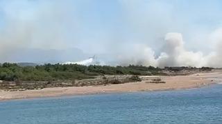 Son dakika... Antalya Manavgat'ta orman yangını