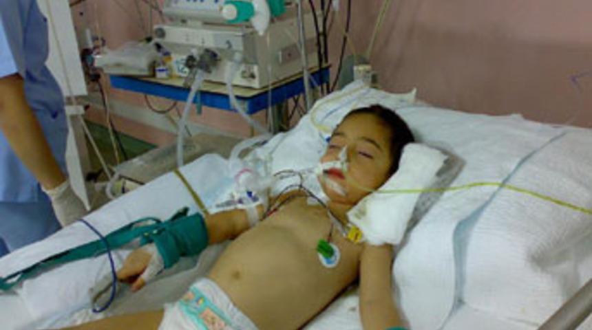 Mantar zehirlenmesinde organ nakli hayat kurtardı