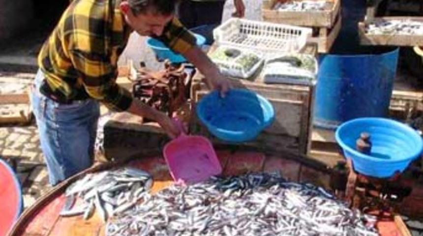 Hamsi bolluğu herkesi g&uuml;ld&uuml;r&uuml;yor