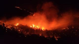 Mersin Gülnar'da orman yangını