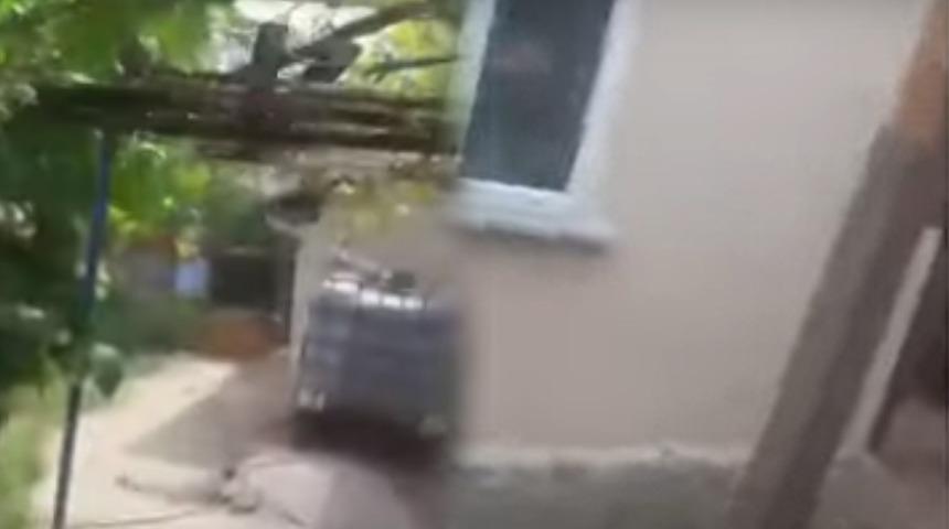 Ev sahibi-kiracı kavgası bitmiyor! Yer: İstanbul, böylesi ilk kez oldu: Civcivlerini saldı