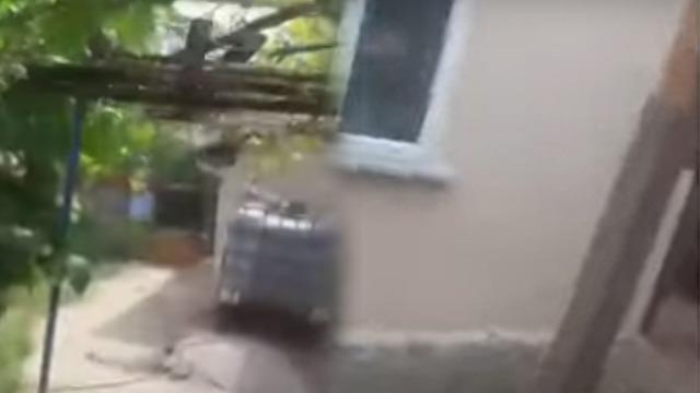 Ev sahibi-kiracı kavgası bitmiyor! Yer: İstanbul, böylesi ilk kez oldu: Civcivlerini saldı