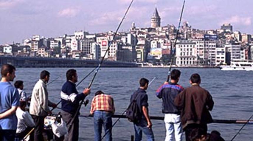 Galataport'ta top, Tabiat Varlıkları Kurulu'nda