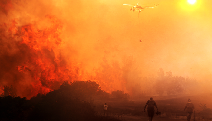 Hatay, Mersin ve Çanakkale'de orman yangını! Attığı torpil 160 hektarı kül etti