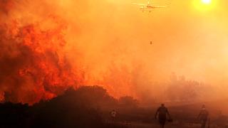 Hatay, Mersin ve Çanakkale'de orman yangını! Attığı torpil 160 hektarı kül etti