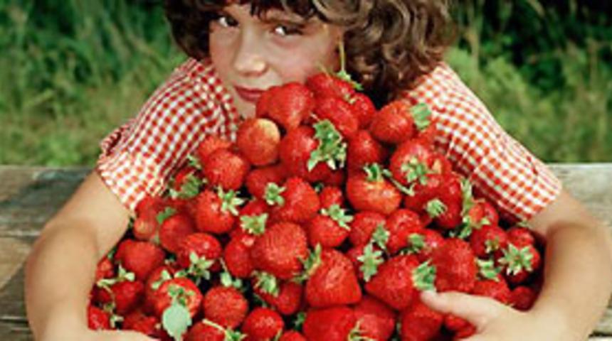 Yaban &ccedil;ileği vitamin deposu