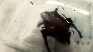 Yer: İstanbul! Paniğe neden oldu... İki ayrı eve girdiler