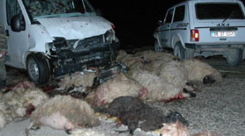 Hayvan hastalıkları, insanları tehdit ediyor