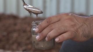 Kilosu 5 bin lira! Sadece Güney Amerika, Honduras ve Muğla’da yetişiyor: Dünyanın en pahalı parfümlerinin karışımında yer alıyor