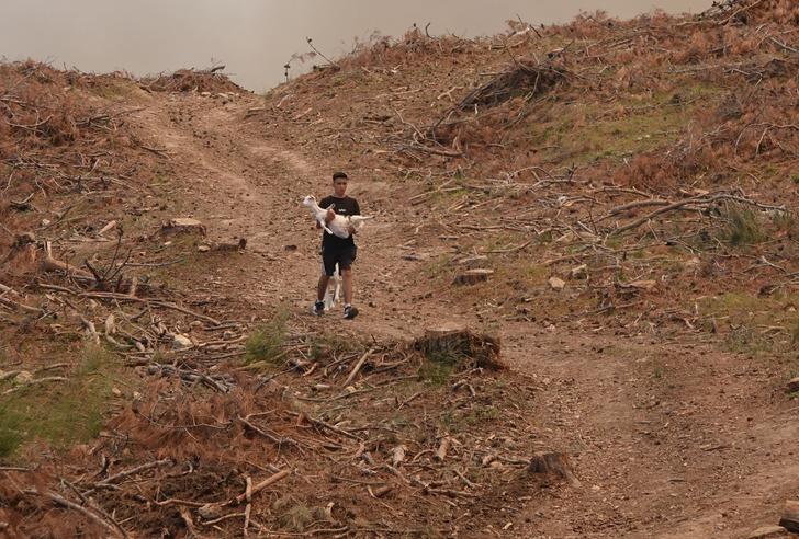 Çanakkale, Hatay, Diyarbakır, Mersin ve Tekirdağ'da orman yangını... Bakan Yumaklı son durumu açıkladı! G2