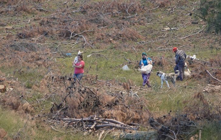 Çanakkale, Hatay, Diyarbakır, Mersin ve Tekirdağ'da orman yangını... Bakan Yumaklı son durumu açıkladı! G3