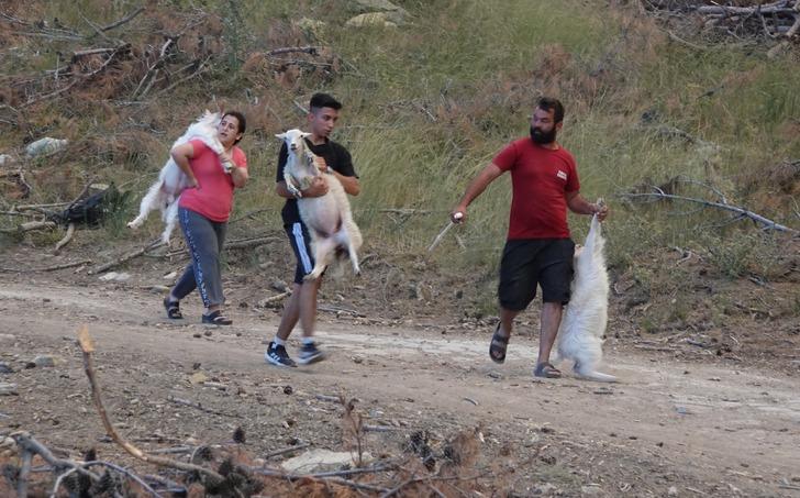 Çanakkale, Hatay, Diyarbakır, Mersin ve Tekirdağ'da orman yangını... Bakan Yumaklı son durumu açıkladı! G4